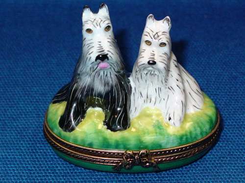 SALT & PEPPER SCHNAUZERS